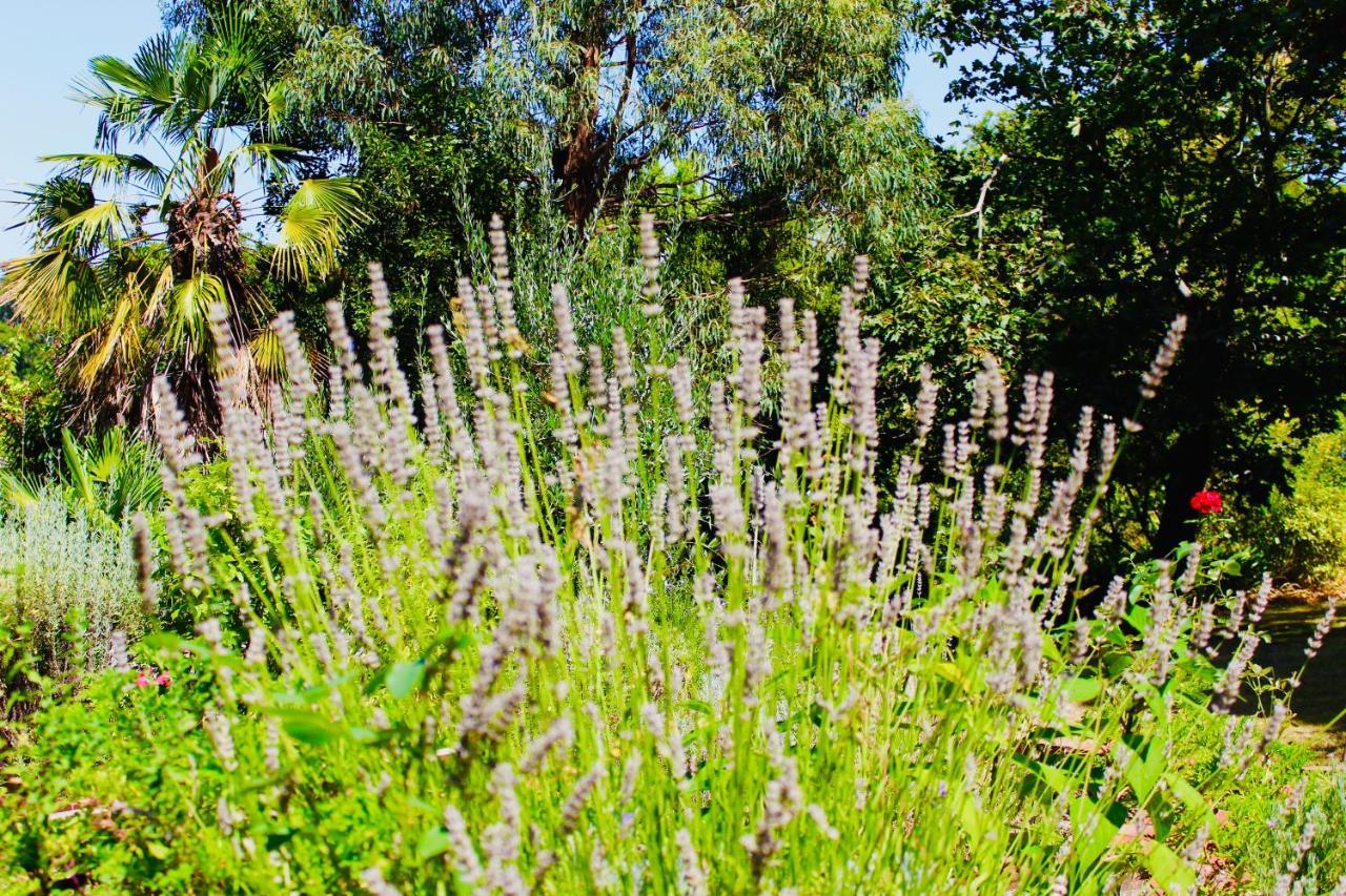 Nagoondie Studio Healesville Dış mekan fotoğraf